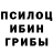 Галлюциногенные грибы мухоморы Ozod Abdurasulov